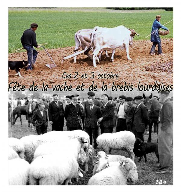 2ème édition de la Fête de la vache et de la brebis lourdaises ces 2 et 3 octobre !