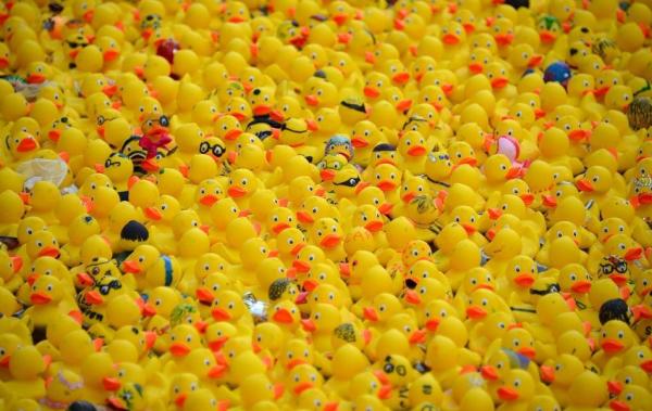 Tarbes : Une course de canards en plastique caritative !