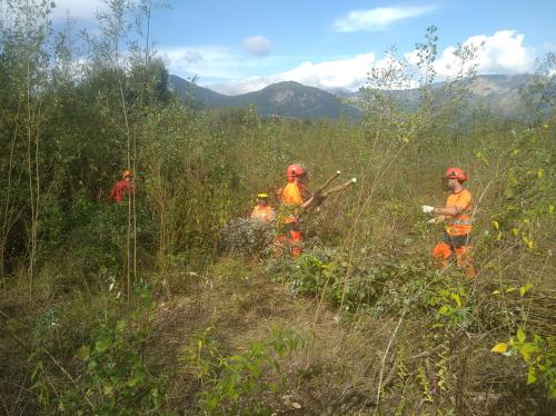 Reportage sur le Lac des Gaves avec la Brigade Verte