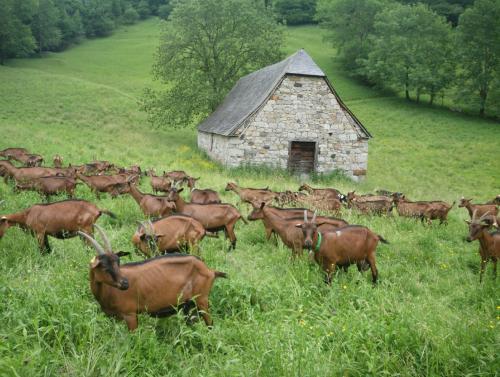 Cartes Blanches en Val d'Azun