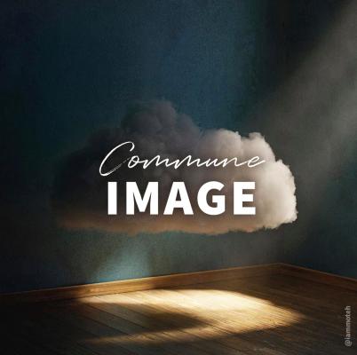 « Commune image » avec Pierre Montagnez