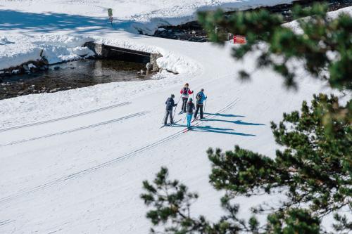 Cauterets Frequence Luz