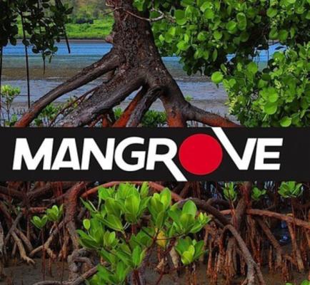 Mangrove logo