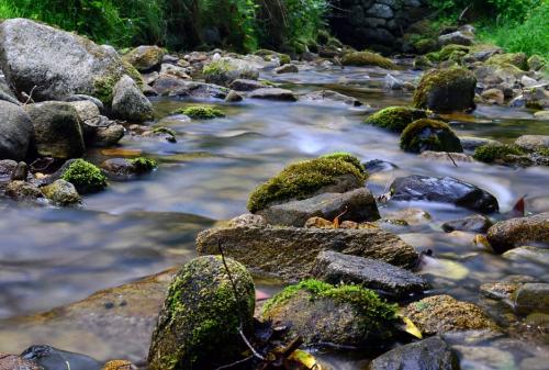 torrent de montagne