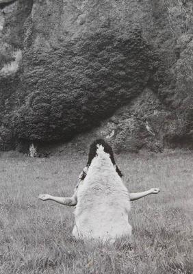 Oeuvre de Célie Falière / Echos 