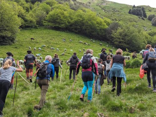 montée au plateau d'Ihlec