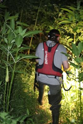 Exploration nocture au milieu de la forêt...