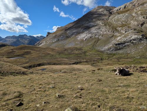 lac de sautaro, SGA