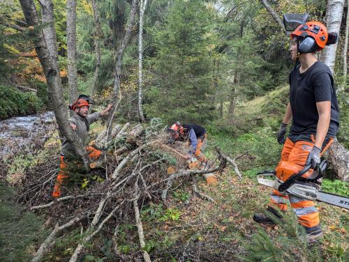 aux abords du ruisseau du Lienz
