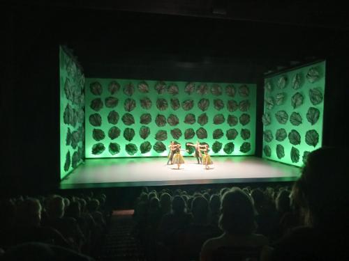 Scène du spectacle de danse au Parvis Tarbes