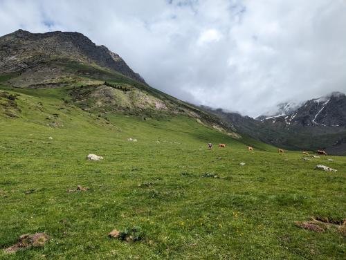estive du Labat de Bun