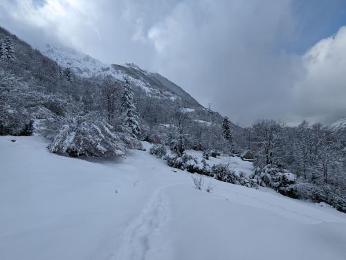 bernazaou hiver 2024