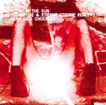 Pochette album Pussy In The Sun - In Case Of Fire