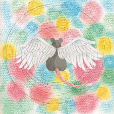 Pochette de l'album Animaru de Mei Semones