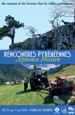 Affiche Rencontres Pyrénéennes - Alphonse Meillon 