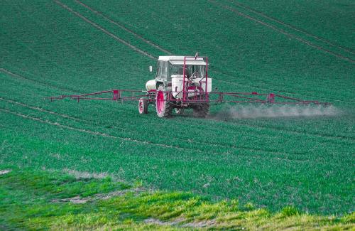 Tracteur pulvérisant des pesticides sur un champ de blé. 