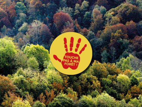 La Fête de la Forêt débarque à Nestier ce 20 septembre !