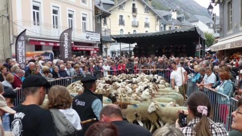 les brebis entourées par la foule dans le coeur du village de Luz