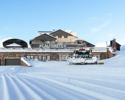 dammeuse devant le lys