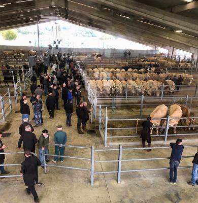 photo : élvéa pyrénées