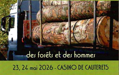 un camion chargé de tronc d'arbres débités
